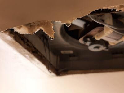 Professional water damage restoration services in Knoxville - ShieldLine Pros